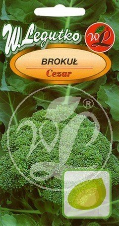 Nasiona Brokuł Cezar