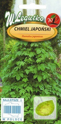 Nasiona Chmiel Japoński - Humulus