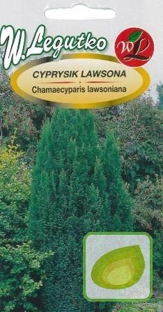 Nasiona Cyprysik Lawsona - Chamaecyparis Law