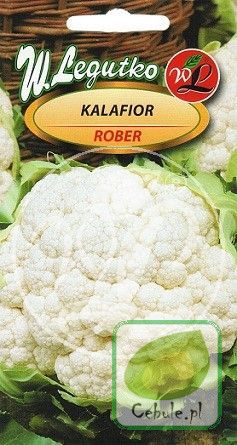 Nasiona Kalafior Rober - Wczesny Biały