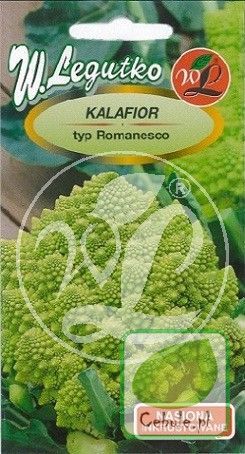 Nasiona Kalafior Romanesco