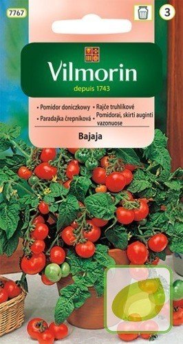 Nasiona Pomidor DONICZKOWY Bajaja - średnio wczesny