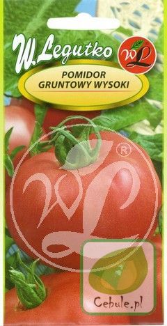 Nasiona Pomidor Malinowy Olbrzym