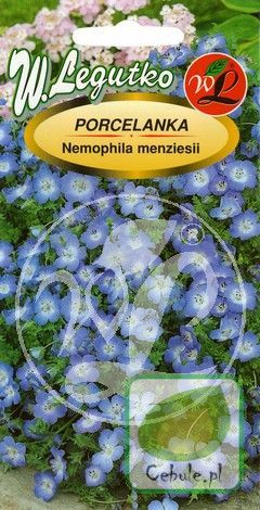 Nasiona Porcelanka - Nemophila Menziesii